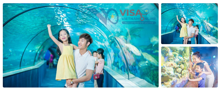 Entertainment service is to be Hanoi 
Hanoi tourism