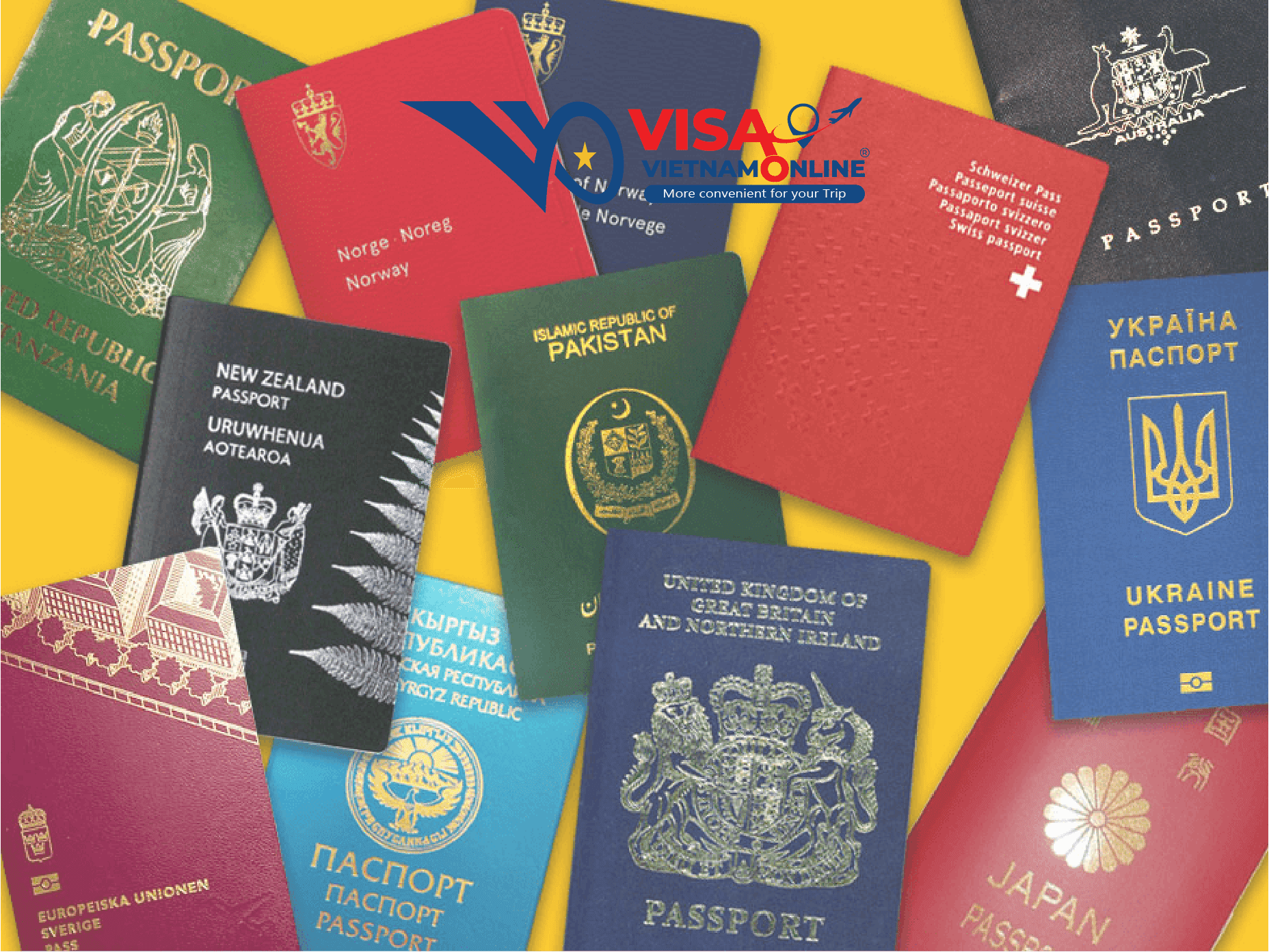 What-does-your-passport-color-stand-for